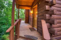 Nantahala Mountain Views. - Feriehus