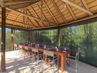 The Wild Olive Tree Camp - Campgrounds