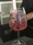 奧羅拉星機場酒店 - 酒吧