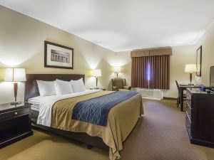 Comfort Inn & Suites Edson