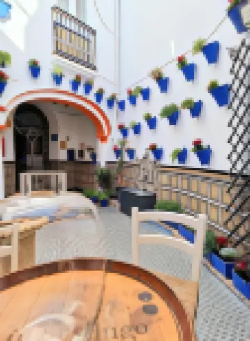 阿爾科塞米斯基塔成人專享酒店