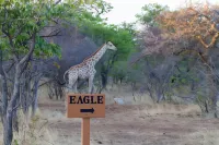 Eagle Tented Lodge & Spa - 3-Star