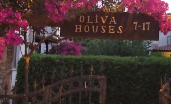 Villa Oliva Houses1