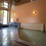 Hisaeya Ryokan Hotels in Tomioka