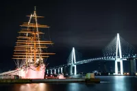 كومفورت هوتل توياما