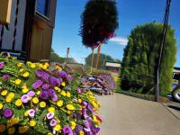 Galaxie Motel فنادق في Philomath