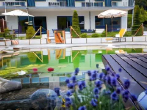 Carlton-Europe Vintage Adults Hotel Hotels in Interlaken District