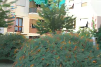Affittacamere la Perla Hotels in Vezzano Ligure