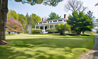 The Neighbour House B&B