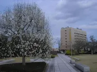 Hotel Sealuck Pal Mito Hotels in Ibaraki