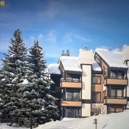 Wildflower 552, Half Price Lift Tix, SV Inn Pool and Rec Pass, Walk to SV Resort