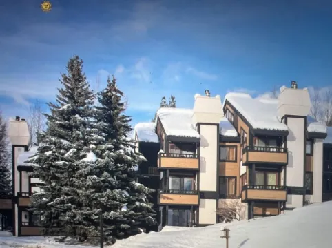 Wildflower 552, Half Price Lift Tix, SV Inn Pool and Rec Pass, Walk to SV Resort