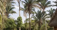 Savanna Orinoquia Lodge Hotels in Orocué