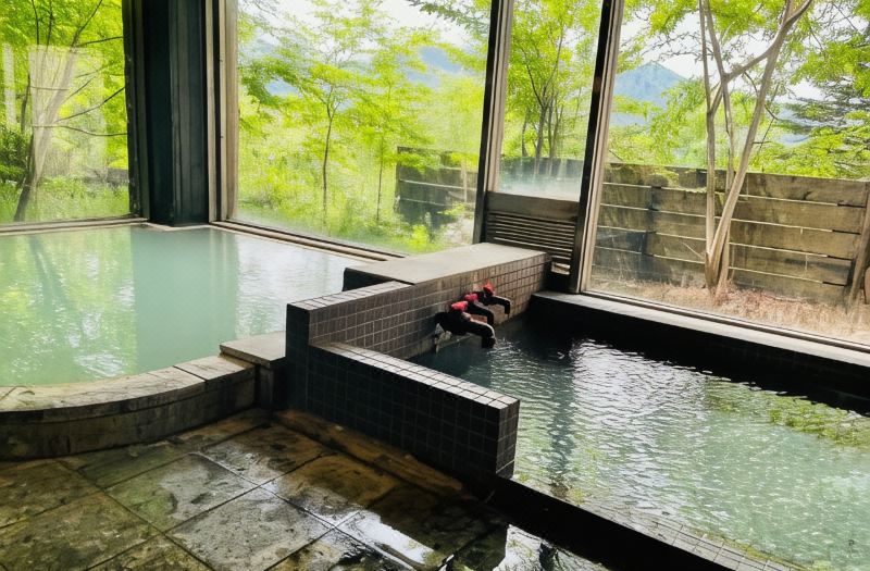 Lake Side Nikko Hotel photo 6