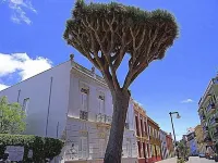 Studio - San Cristóbal de La Laguna Anaga 호텔