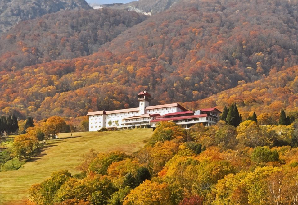 아카쿠라 칸코 호텔