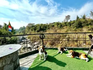 Prakriti Aalay - Riverside Mountain View Boutique Eco Resort
