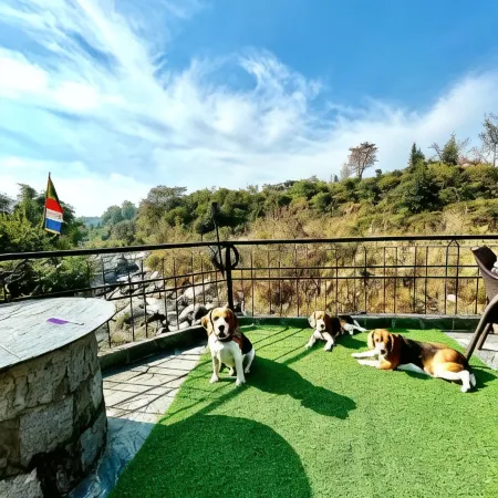 Prakriti Aalay - Riverside Mountain View Boutique Eco Resort