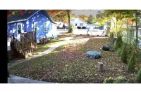 Modern Cottage - Fast WIFI, Gas grill, boats, golf, FENCED yard - lg/sm DOGS