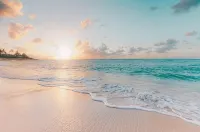 Enjoy the sunset at OCEAN FRONT 1BR Apartment - pool on site! Hotels in Holualoa