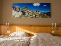 Alpine Classic Hotel Hotels in Leysin