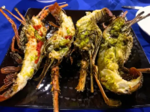 Evis Resort at Nggatirana Island Hotels in New Georgia Group