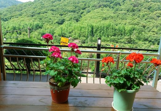 산수풍경 대표 이미지