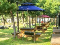 Seocheon Paintree Glamping Hotels in Seocheon-gun