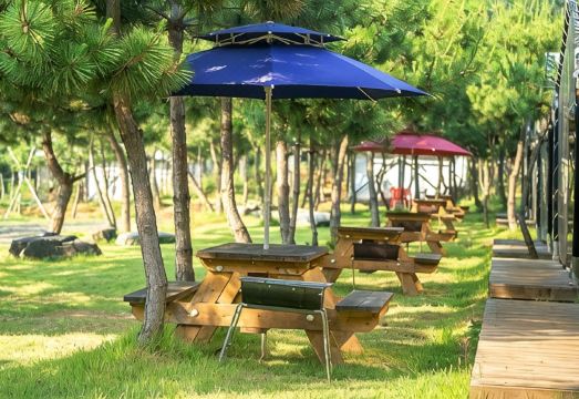 서천 야외 풍경