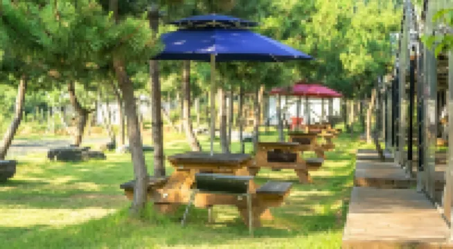 Seocheon Paintree Glamping