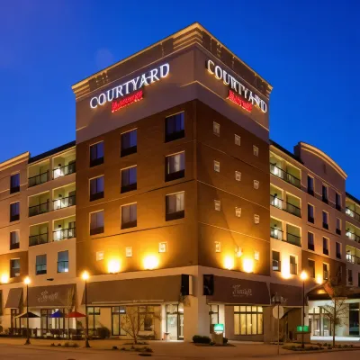 Courtyard Rochester Mayo Clinic Area/Saint Marys Hotel a 