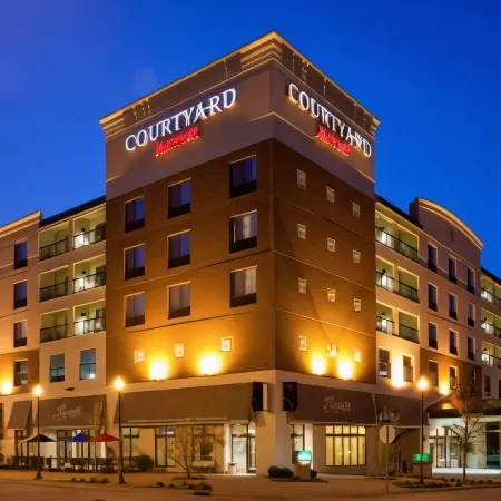 Courtyard Rochester Mayo Clinic Area/Saint Marys