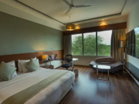 邁索爾南方之星酒店 邁索爾酒店