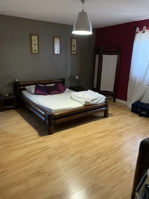 House with swimming pool vans