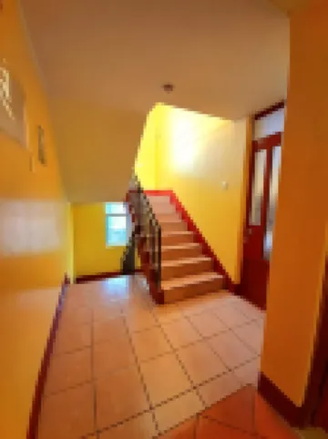 紫丁香酒店 酒店