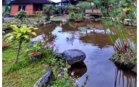 @Niek Homestay