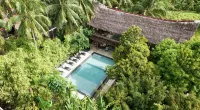 Jungle Nest Resort