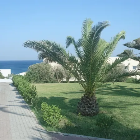 Unda Hotel Hotels in Roda
