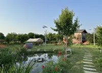 East of Jianshe Village, Shaoying Village, Xingliu Town, Yingquan District, Fuyang City - Pools