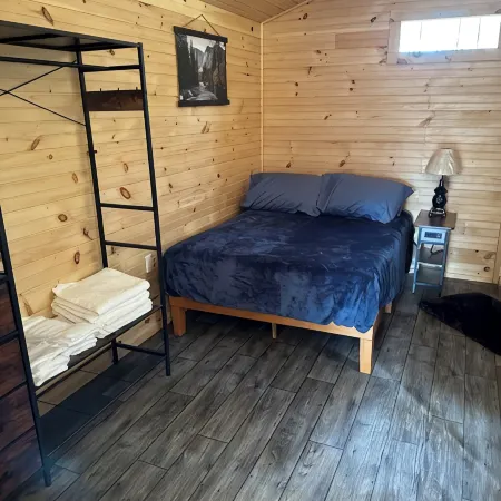 Secluded Cabin On the Salmon River Peninsula With AC and Heat in Westville NY