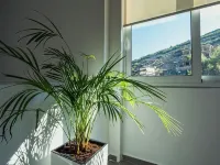 Kronos Hotel Sarande Hotels in Saranda
