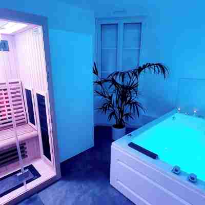 Aparthotel SPA: jacuzzi, sauna, terrace, balcony, hyper center, Place Drouet D'Erlon Fitness & Recreational Facilities