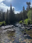 Escape to the Choosey Moose Cabin in the mountains of Dubois, WY - Chalets