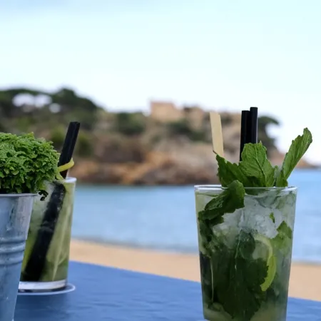Hostal la Fosca