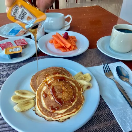Hotel Mision Leon