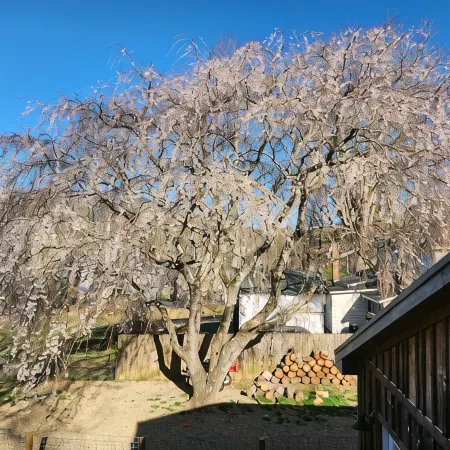 Private Upper Room w/large soaking tub/shower with view of 7 Sisters Mountains!