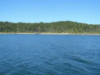 Cabin Rental - Lake Norfork - Mountain Home, Arkansas - 3 minute walk to lake!