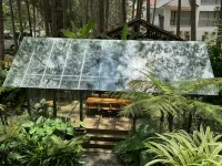 T'Măng ĐEENG Homestay - bar