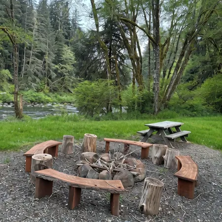 A Cozy 2-bedroom cabin with awesome private Sol Duc River's waterfront