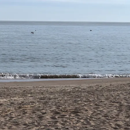 2 Family House Steps from Beach; 2 Master Bedrooms; Beach and Bike Equipment too